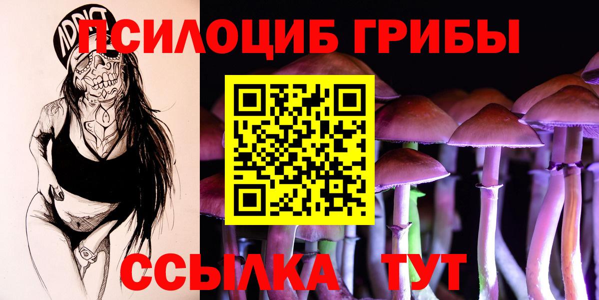 Псилоцибиновые грибы ЛСД Ефремов