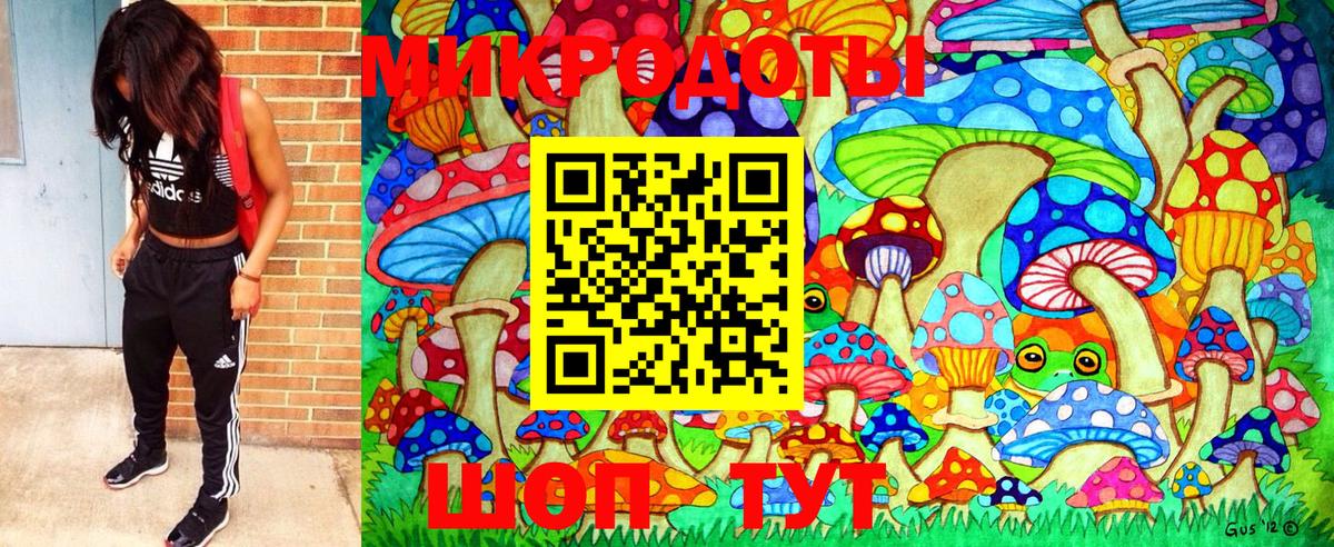 Ефремов  Псилоцибиновые грибы Psilocybe  Вход с VPN 